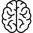 003-brain