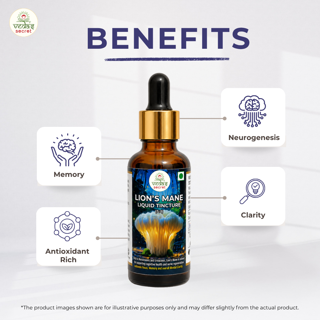 Lion’s Mane Extract Tincture - Image 5