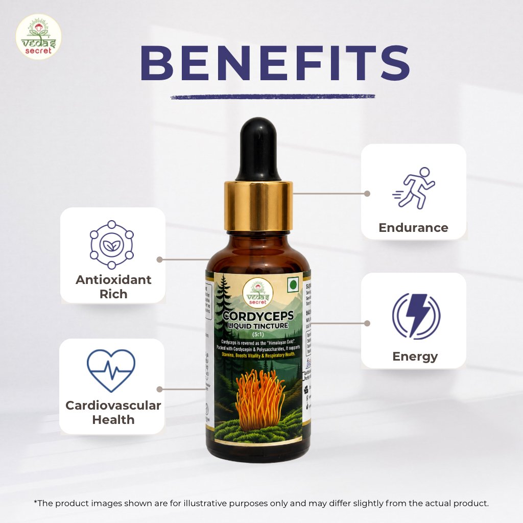 Cordyceps Extract Tincture - Image 4